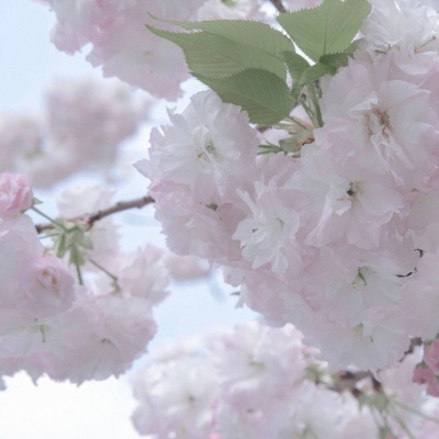 兽设质感表现实用教程Furry群